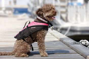 Baltic Mascot Hundevest Rosa S 3-8kg